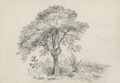 Image Not Available